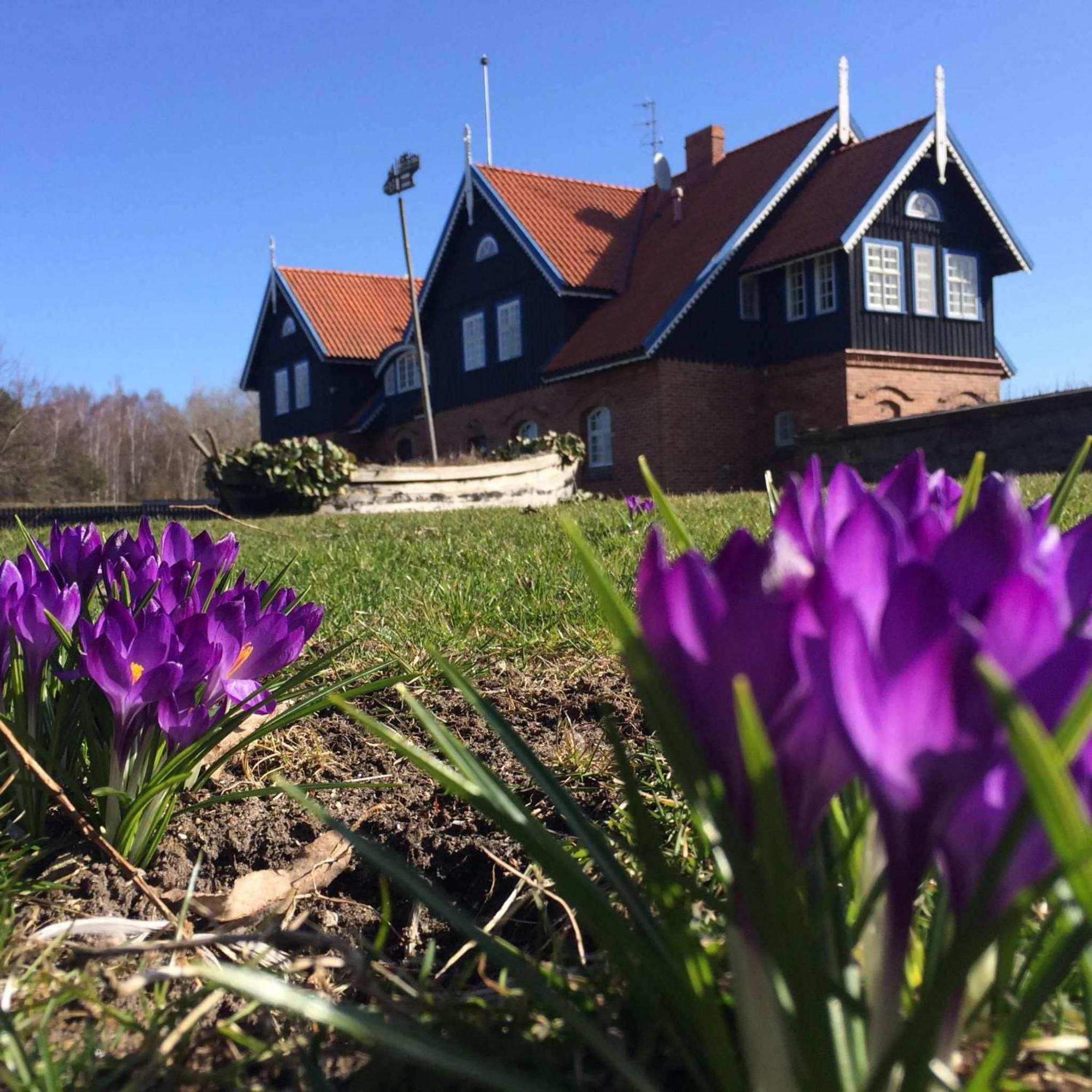 Bed and Breakfast Sturmu Svyturys Sturmai Exteriér fotografie